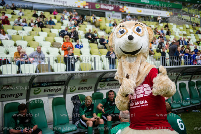 Energa Stadion Gdańsk. Charytatywny mecz piłkarski...