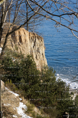 Mrozny poranek w Gdyni Orlowie. Nz. klif  24.01.2010...