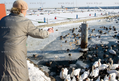 W związku z silnymi mrozami władze Gdyni zwróciły...
