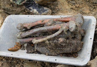 Gdansk. Rebiechowo. Szczatki niemieckiego zolnierza...