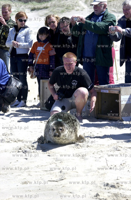 Czolpino

Pracownicy Fokarium z Helu wypuscili na...