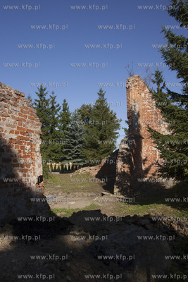 Woclawy - wies na Zulawach Gdanskich. Ruiny gotyckiego...