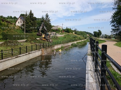 Prace melioracyjne na Kanale Raduni na wysokosci Sw....