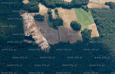 XIII Pomorski Konkurs Fotografii Prasowej Gdansk Press...