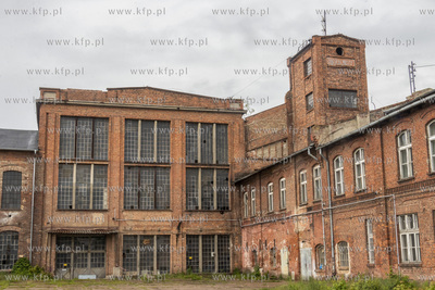 Botaniczny Pruszcz. Spacer badawczy śladem roślin...