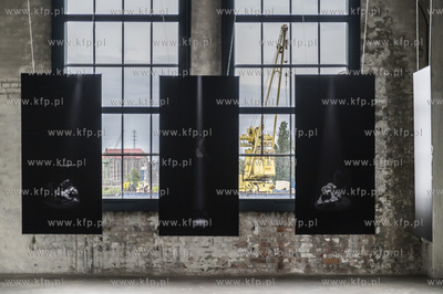 Gdańsk Stocznia. Plenum. Wystawy 4 autorów: Damian...