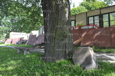 Pośrodku ulicy Jaskowej Doliny, rośnie rozłożysty...