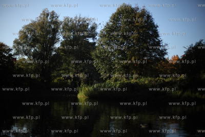 Gdansk. Park Przymorze.
17.10.2012
fot. Krzysztof...