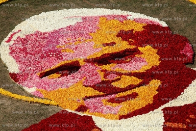 Mokry Dwor. Zulawski Tulipan. Z okolo jednego miliona...