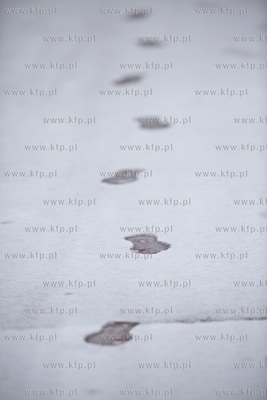 Zima.
11.01.2016
fot. Krzysztof Mystkowski / KFP