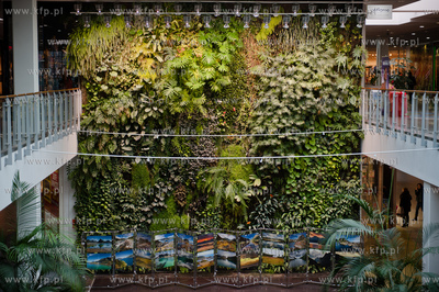 Gdansk. Galeria Przymorze. Wystawa zdjec fotografa...