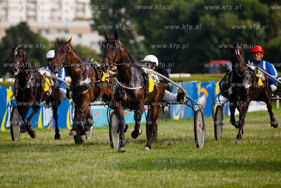 Wyscigi konne na sopockim hipodromie.
Nz wyscig klusakow
14.07.2013
fot....