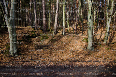 Gdansk. Oliwa, Trojmiejski Park Krajobrazowy. Sciezka...