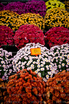 Gdansk. Cmentarz Lostowicki. Dzien Wszystkich Swietych....