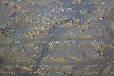 Gdansk. Pracowinicy Gdanskich melioracji oproznili...