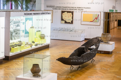 Muzeum Archeologiczne w Gdańsku. Konferencja prasowa...