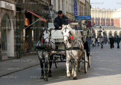 Krakow Nz. Dorozka na Grodzkiej

12.02.2008

Sebastian...