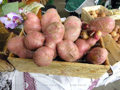 Karzniczka k/Slupska VI Swieto Ziemniaka. 11.10.2009...