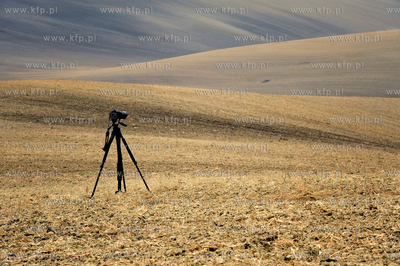 Morawy. Czechy. Okolice miejscowosci Kijev. Nz. pola...