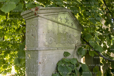 Największy w Polsce, wpisany w 1988 roku do rejestru...