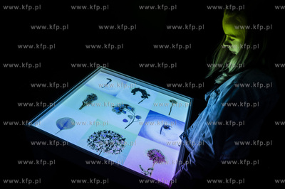 Sopot, Państwowa Galeria Sztuki. Otwarcie 9. Festiwalu...