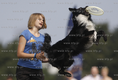 Sopot. Hipodrom. Zawody Frisbee - latajace psy za latajacym...