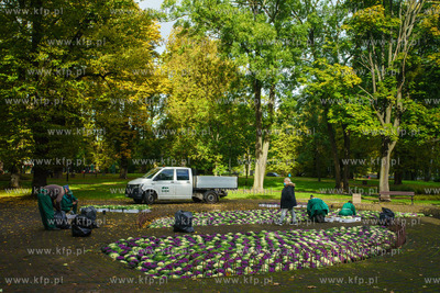 Gdańsk, Park Zielony. Jesienne nasadzenia kapusty...