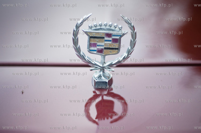 Gdansk. Kuznia wodna w Oliwie. VI edycja imprezydla...