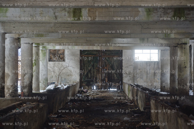 Tereny zespolu dworsko-palacowego z folwarkiem w Rusocinie.
Nz...