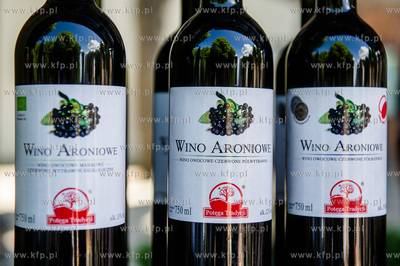 Gdansk. Oliwa. Plac przed Katedra Oliwska.X edycja...