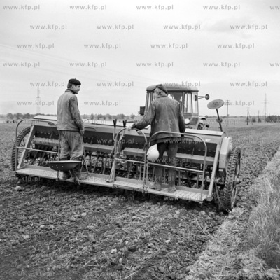 Prace rolne na polach PGR na Kociewiu.
10.1971
pazdziernik_1971_z.kosycarz_p12
Fot....