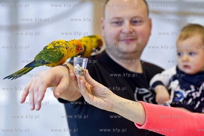 Nowa Papugarnia w Gdańsku Suchaninie.
29.12.2016
fot....