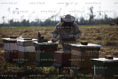 Skutki nawałnicy, która z piątku na sobotę przeszła...