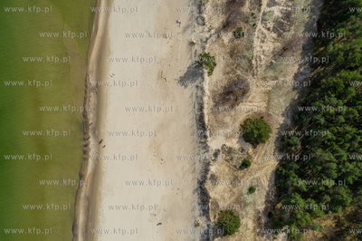 Wyspa Sobieszewska.
01.04.2024
fot. Krzysztof Mystkowski...