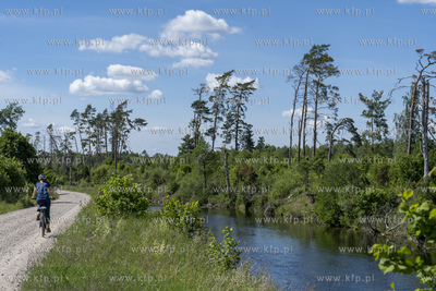 Szlak kajakowy Wielkim Kanałem Brdy - to sztuczny...