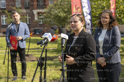 Na skwerze Daszyńskiego w Gdańsku posadzono dwa ambrowce...
