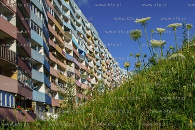 Falowiec w Nowym Porcie, przy ulicy Wyzwolenia. 10.07.2021...