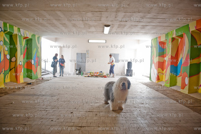 Gdansk. Przejscie podziemne w poblizu Gdanskiego Uniwersytetu...