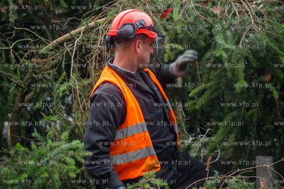 Gdansk. Dlugi Targ. Operacja stawiania swiatecznej...