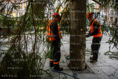 Gdansk. Dlugi Targ. Operacja stawiania swiatecznej...