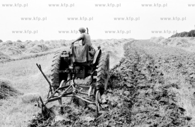 Prace rolne w Powiecie Gdanskim. 1955
z0005823
Fot....