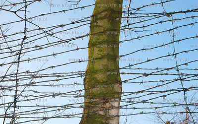 Park u zbiegu ulic Bema i Wyczolkowskiego w Gdansku....