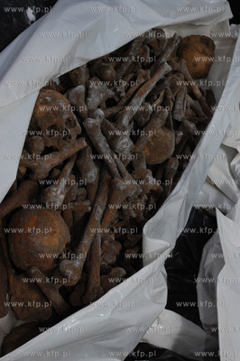 Szczatki okolo 1800 ludzi wydobyto z ziemi w centrum...