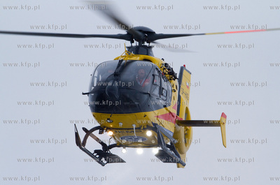 Gdansk, Rebiechowo. W dniu dzisiejszym przylecial nowy...