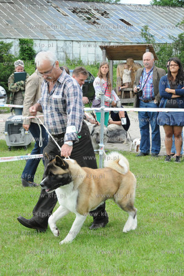 W Zespole Dworsko - Parkowym  w Gdyni Kolibkach odbyla...