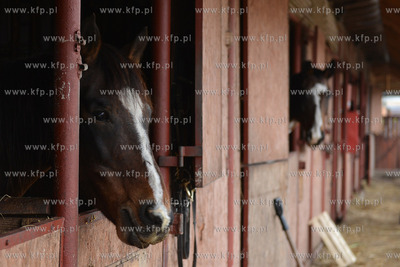 W Debogorzu Wybudowaniu (gmina Kosakowo), tuz przy...