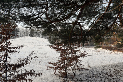 Gdansk osiedle VII Dwor, kiedys Osiedle Mlodych im...