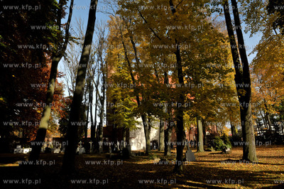 Zukowo. Stary cmentarz wokol koscoloa WNMP. 21.10.2012...