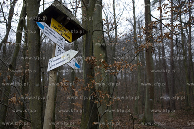 Trójmiejski Park Krajobrazowy. Szlak niebieski, Dolina...