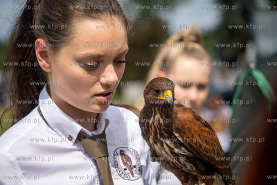 Sierakowice. XVIII Festiwal Kultury Łowieckiej Knieja...